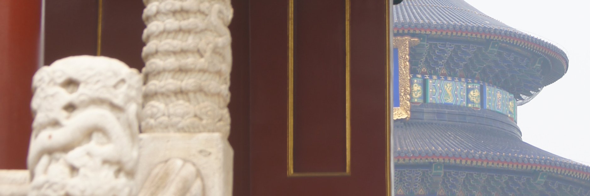 d mierzejewski/梅德明 banner