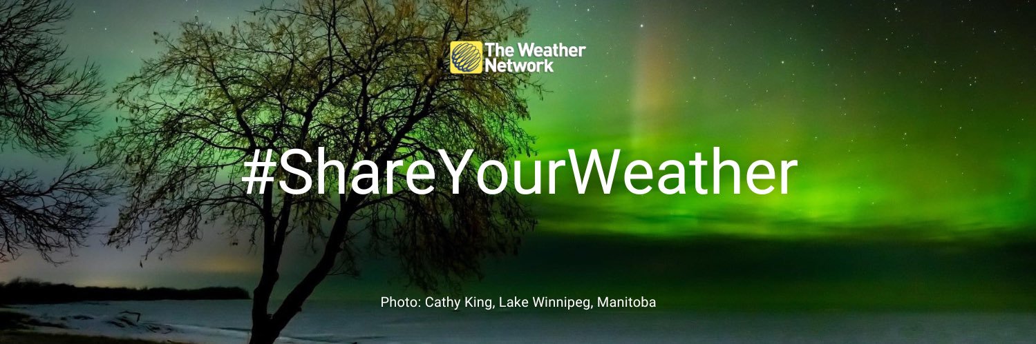 Kelly Sonnenburg TWN banner