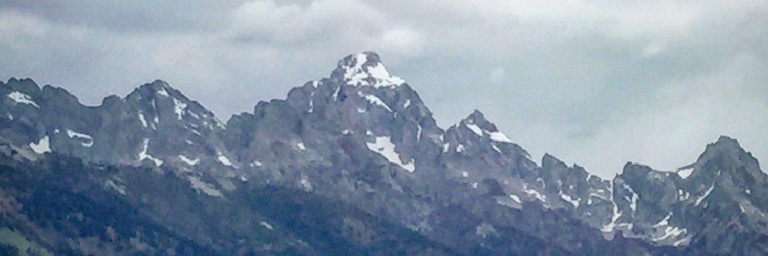 Michael McKee banner