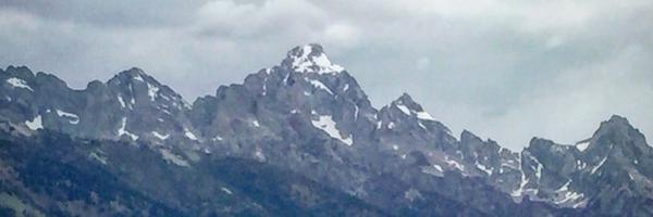 mckonomy Profile Banner