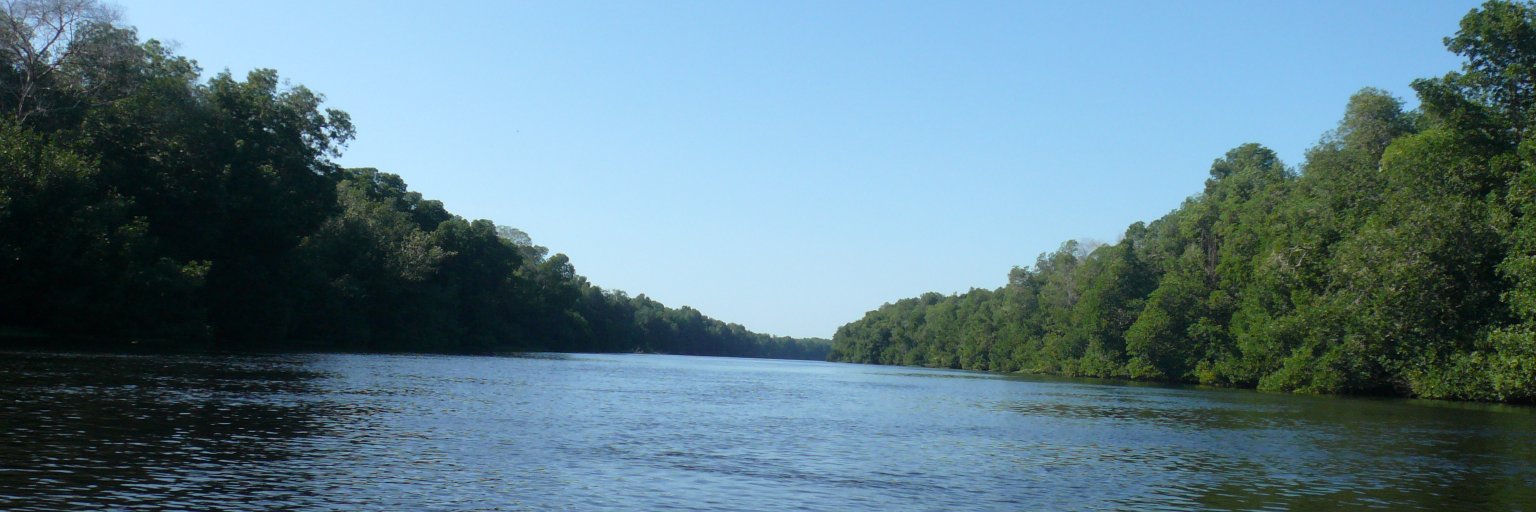 chofasandoval's profile banner image