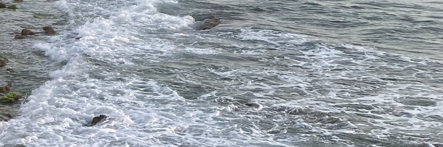 amalodaud's profile banner image