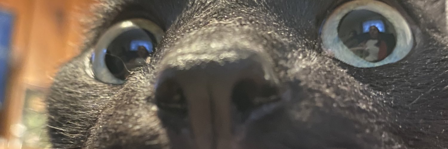 grace_navaa's profile banner image