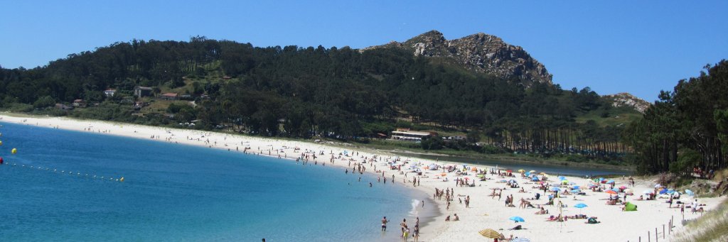 Didier Grimaldi banner