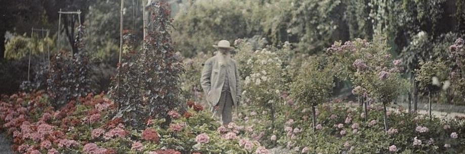 Llaovell's profile banner image