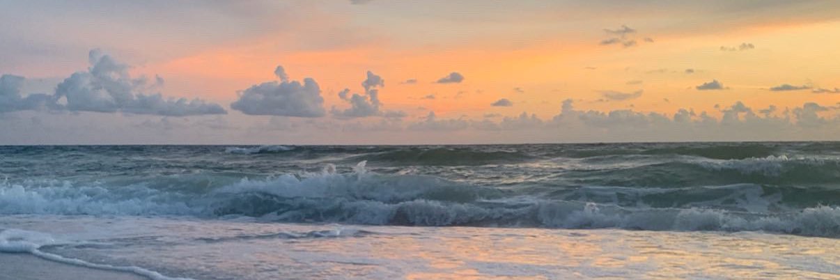 Stephani Young banner