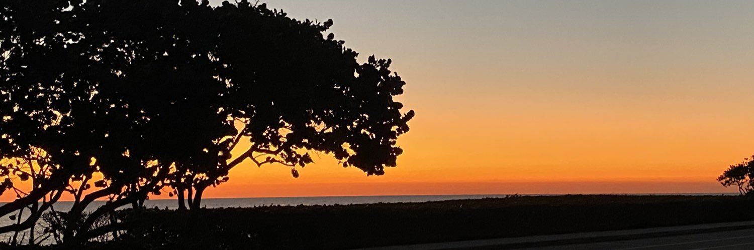 SamuelTaracena's profile banner image