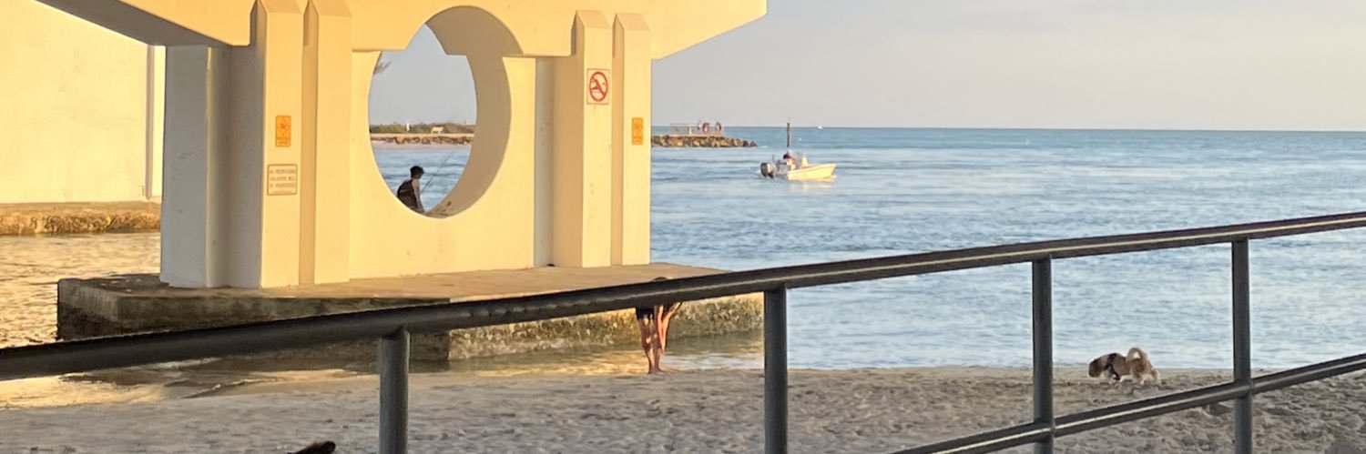 mfrazao17's profile banner image