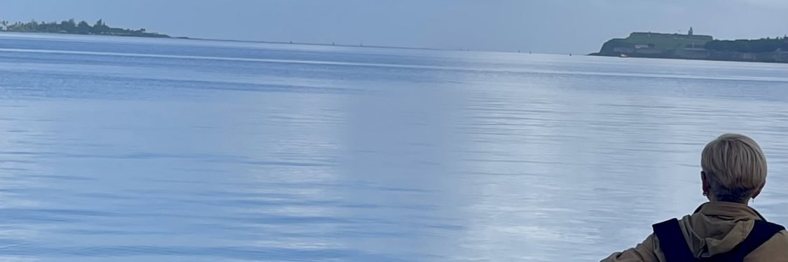 Elsa Ramos-Méndez banner