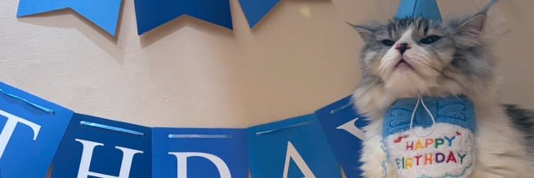 deannelouiisee's profile banner image