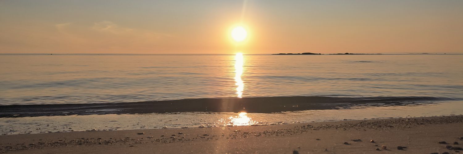 Thomas Käldström banner