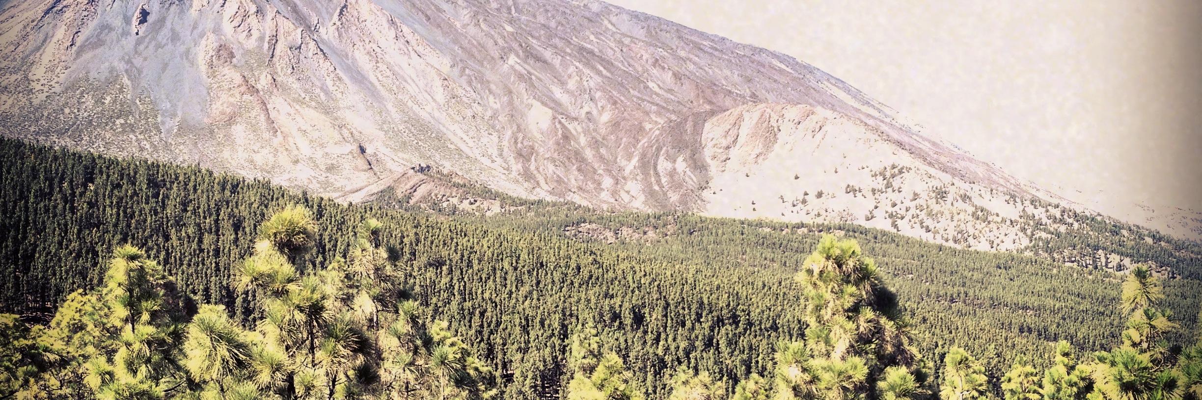 RoPeroco's profile banner image