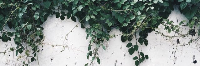 jiannablake's profile banner image