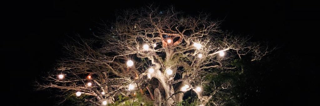 AlborzToofani's profile banner image