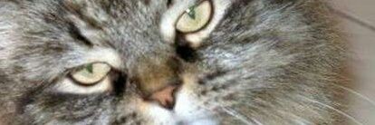 yiury's profile banner image