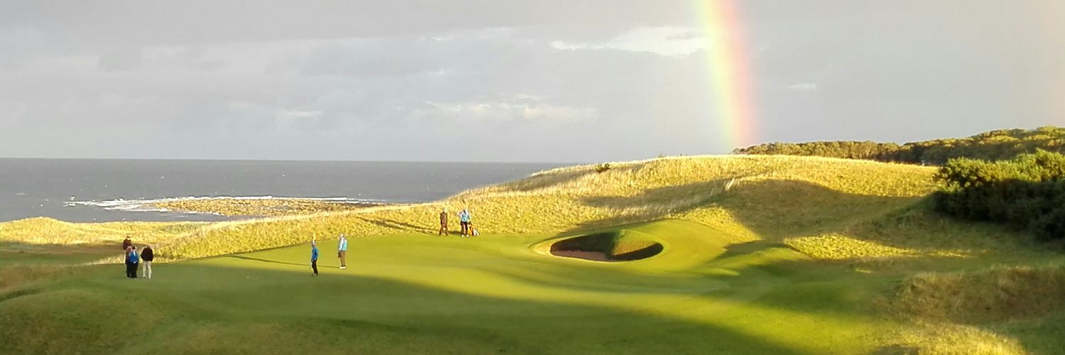 tparkkinen's profile banner image