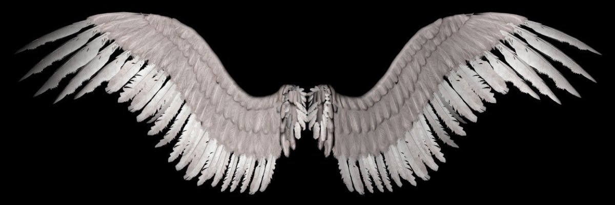 ApekFrostbyte's profile banner image