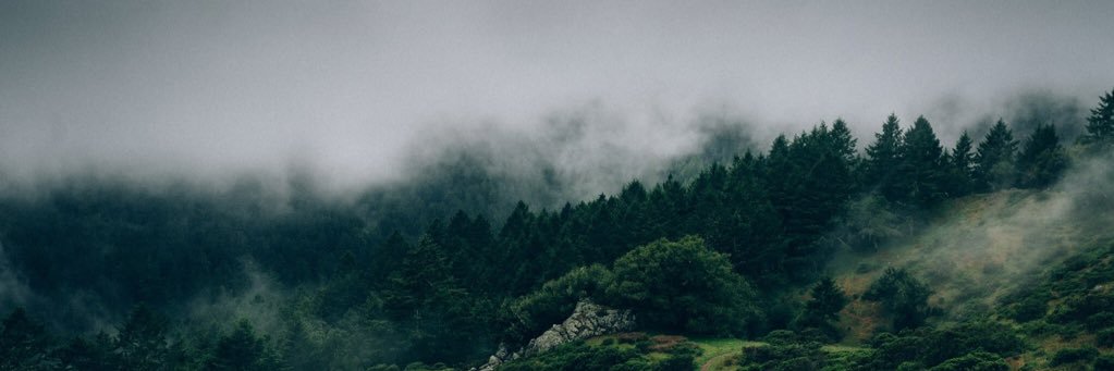 pump2moon's profile banner image