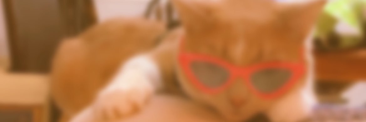 mego__1322's profile banner image