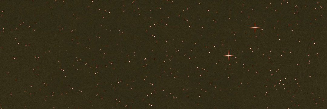 alvarezssofia's profile banner image