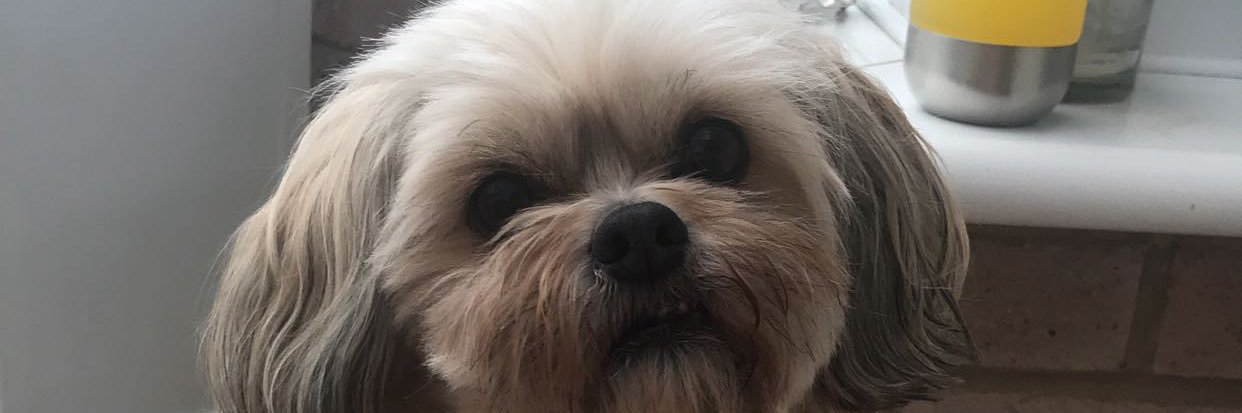 sclem27's profile banner image
