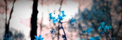 BooksObsessive's profile banner image