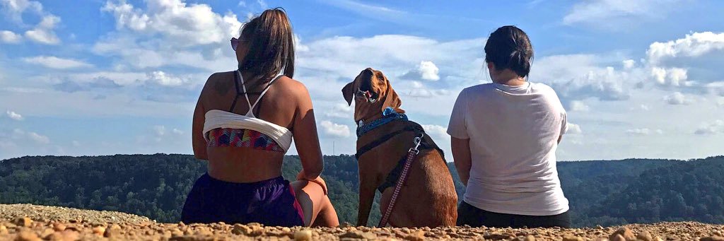 PiperLynn12's profile banner image