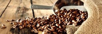 SC_Roasters's profile banner image
