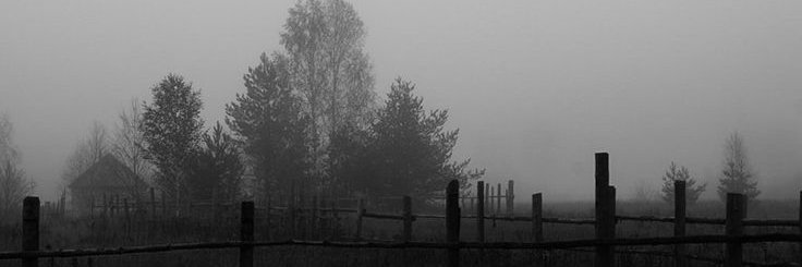 master56825673's profile banner image