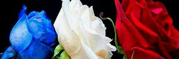 FesenbeckMarieT Profile Banner