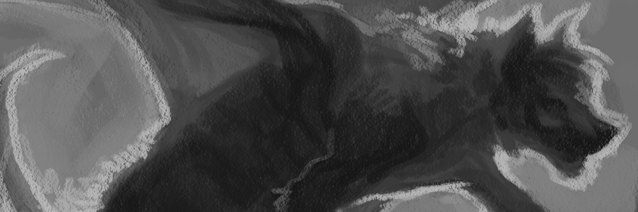 TheBeardomancer's profile banner image