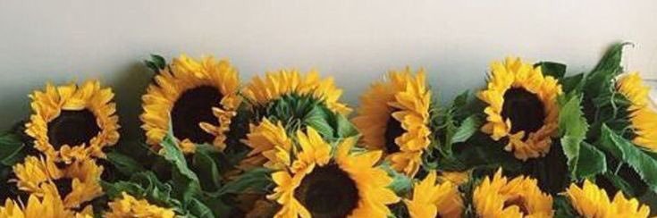 _rynsbrown's profile banner image