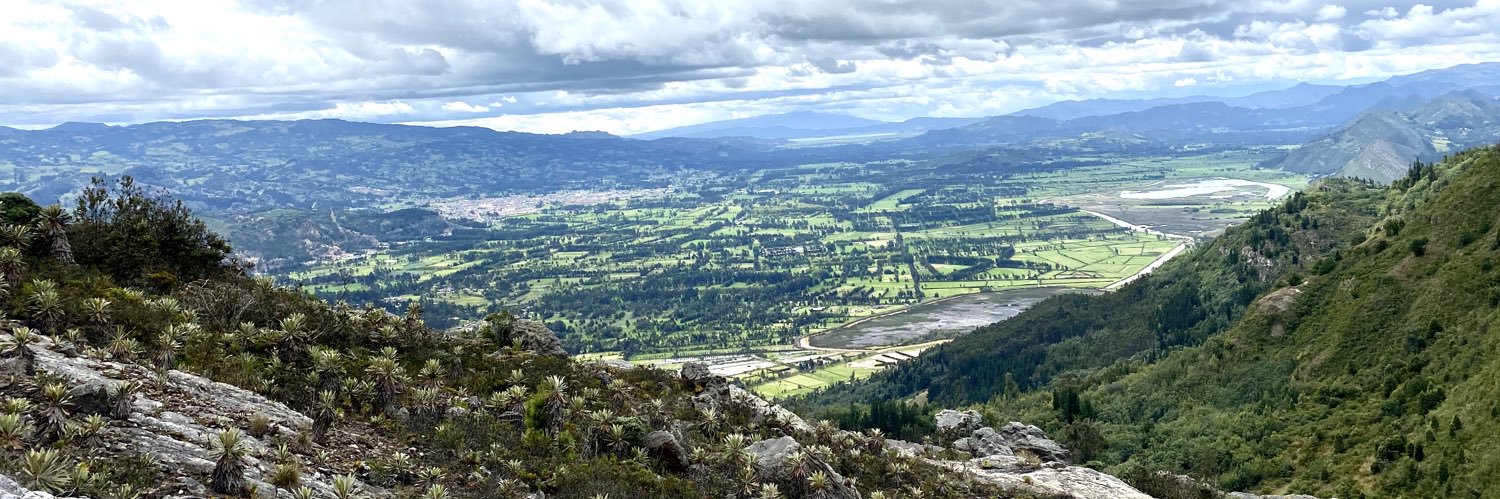 yaestapinton's profile banner image