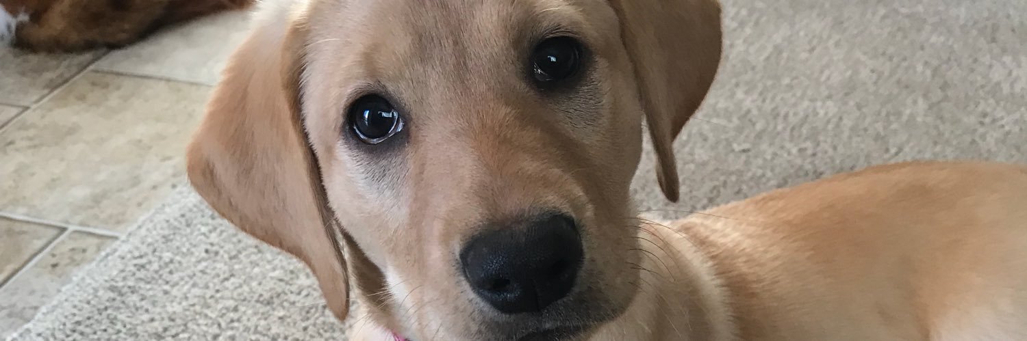 RykerCourtney's profile banner image