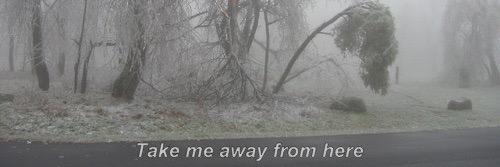 Hadley_whiting's profile banner image