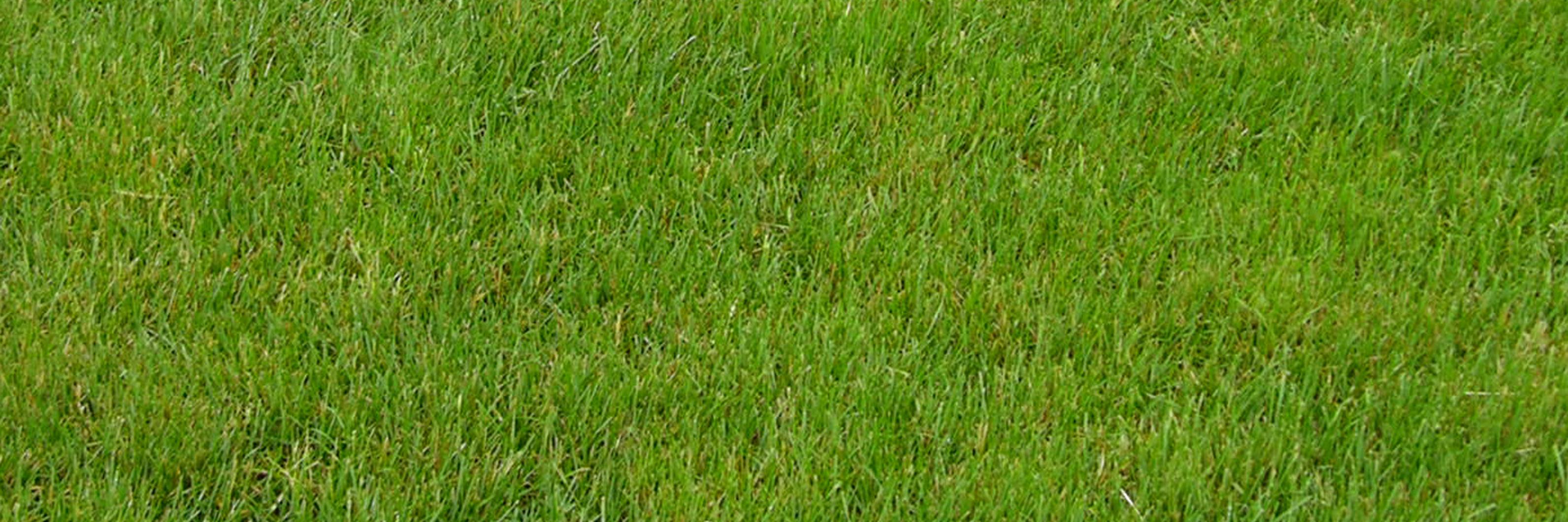 RFS_Retro_Footy's profile banner image
