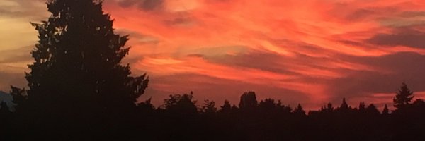 RHTIII Profile Banner