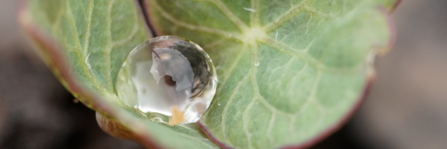 Christopher Smith banner