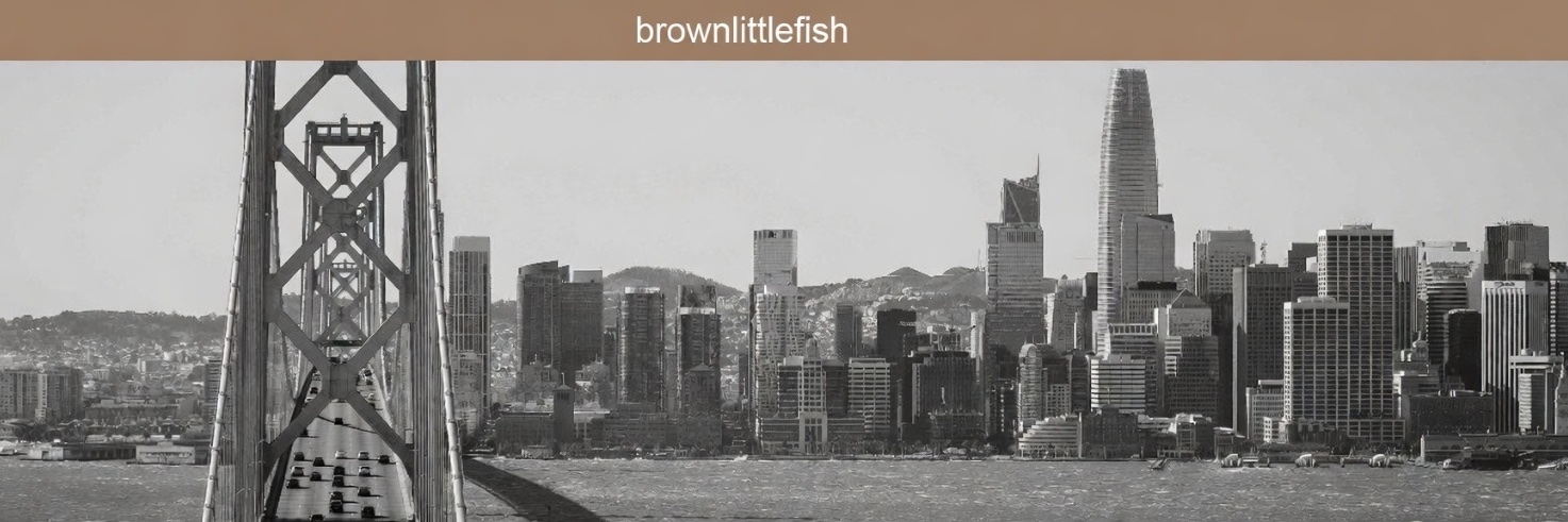 brownlittlefish's profile banner image