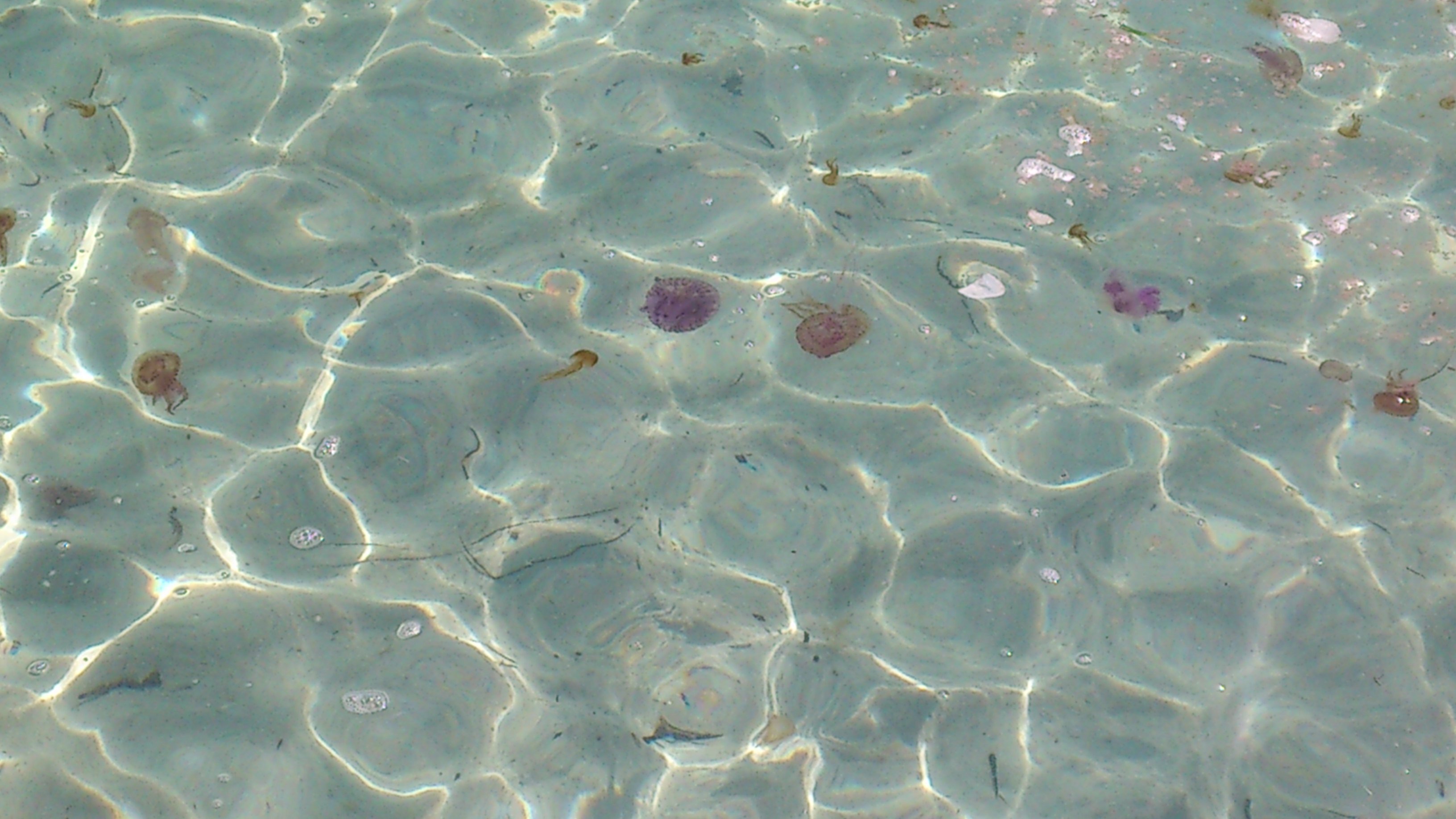 pixuncet7's profile banner image