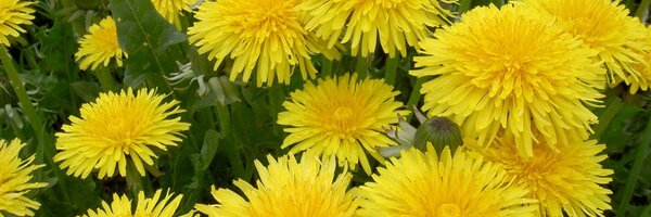 jonboarduk Profile Banner