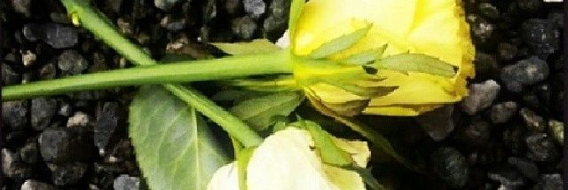 J_Almasi's profile banner image