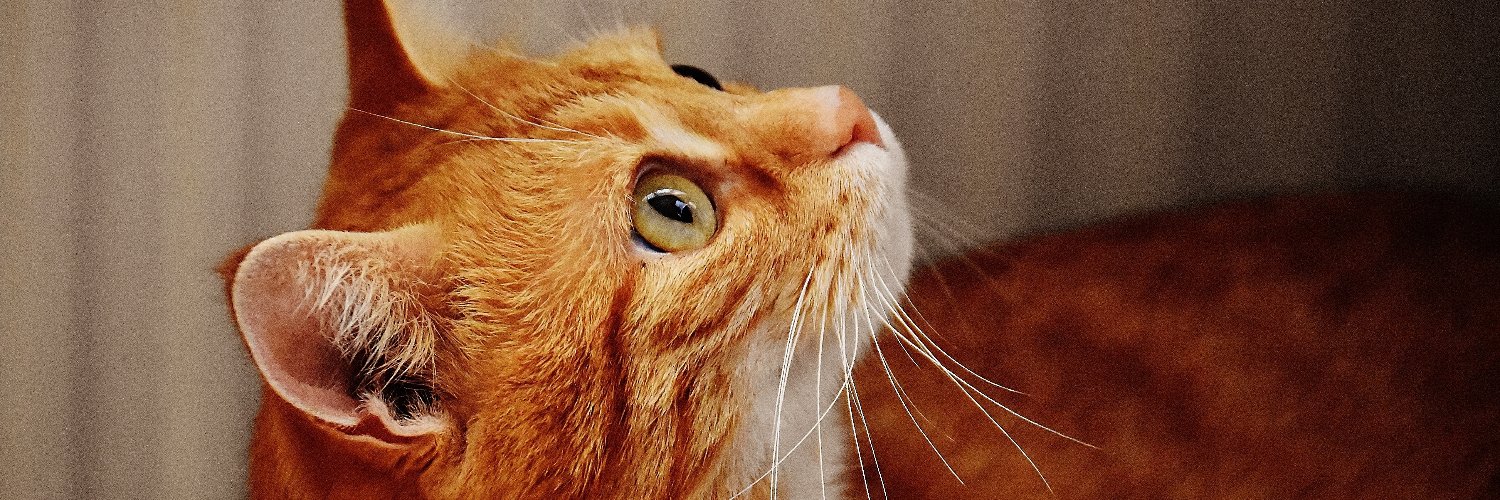 McInterstellar's profile banner image