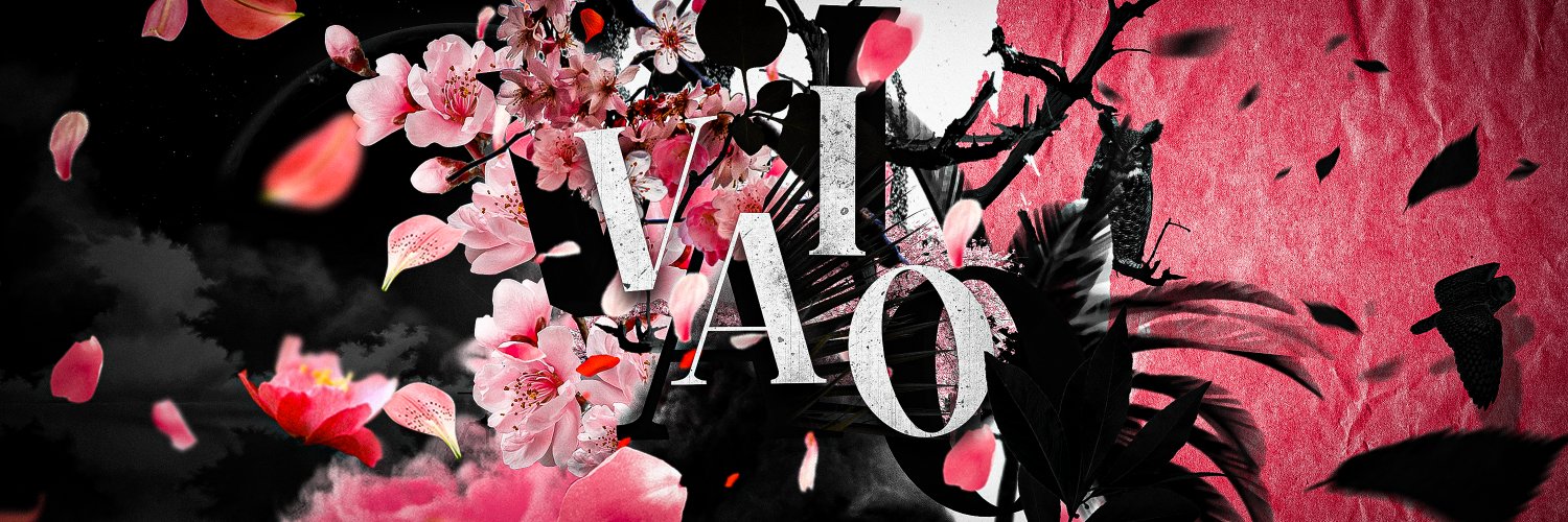 Vaio | Nick banner