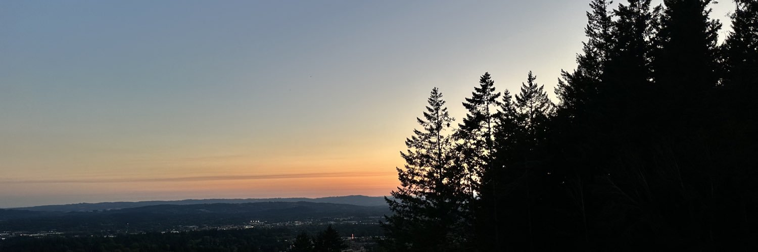 NiftyMom's profile banner image