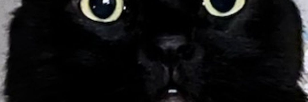 Eric Lorenz banner