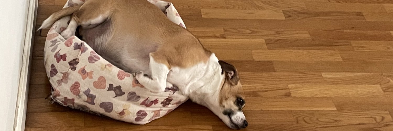 Encarna Talavera banner