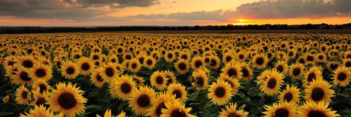 carmy2986's profile banner image