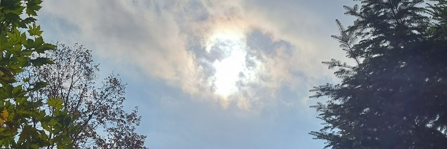 Adam Brodowolski ❄️ banner