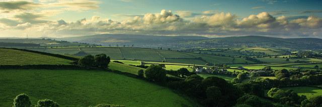 Jess banner